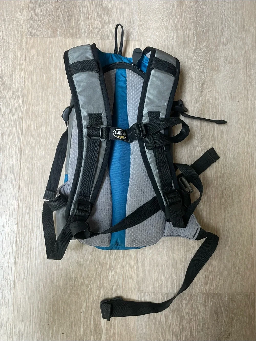 CamelBak Blue and Gray Hydration Backpack